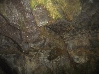 otta Forcato20110306 012